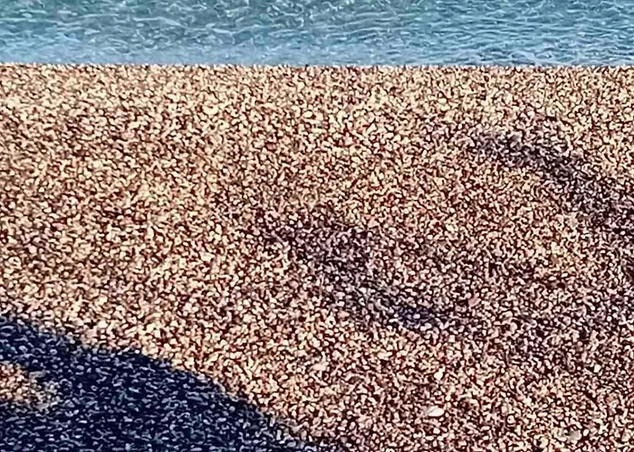 Sea View Дом отдыха *
