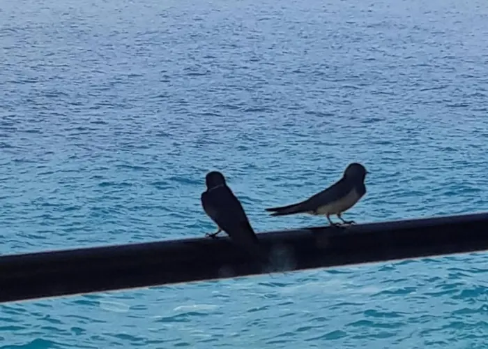 Дом отдыха Sea View *